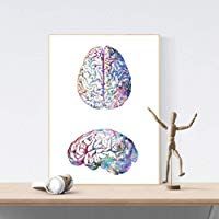 KGKBH P&oacute;ster 30x40 cm Sin Marco Anatom&iacute;a del Cerebro Humano Vista Lateral e Invertida Carteles e Impresiones Acuarela Colorida Arte de la Pared Biolog&iacute;a Ciencia Pintura m&eacute;dica Regalo