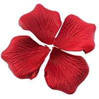 mejores decoracion-para-celebraciones