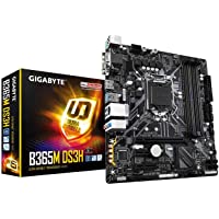 Los mejores  - Gigabyte B365M-DS3H