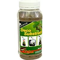 Mejores Kits básicos para terrarios