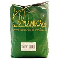 mejores Infusiones de hierbas mejores infusiones-de-hierbas