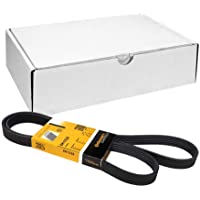 ContiTech 6PK1538