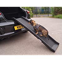 mejores Rampas para perros mejores rampas-para-perros