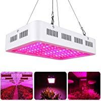 mejores iluminacion-para-plantas