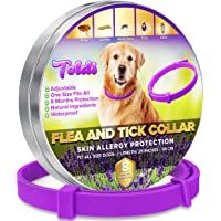 Los mejores  - toldi Tratamiento-de-pulgas-para-Perros- Collar-antipulgas-Perros Ajustable- 8 Meses de protección-contra-pulgas-y…