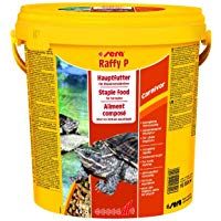 mejores comida-para-peces-de-estanques