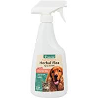 mejores Pulguicidas en spray para gatos mejores pulguicidas-en-spray-para-gatos